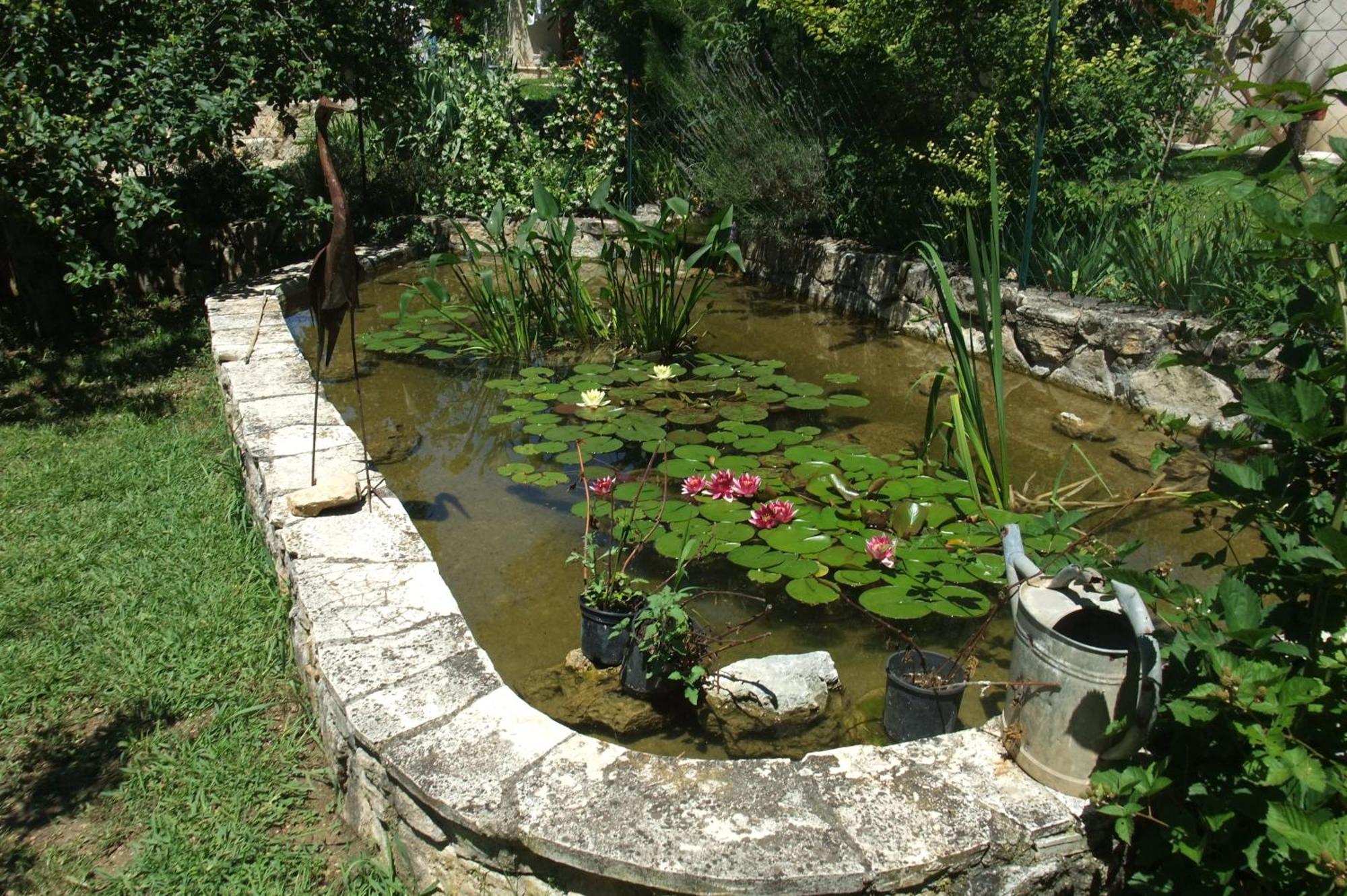 Gite La Paillote Montauroux Exterior photo